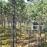 Na Wydmach Shelter Rogowo (Gryfice)