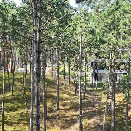 Na Wydmach Shelter Rogowo (Gryfice)