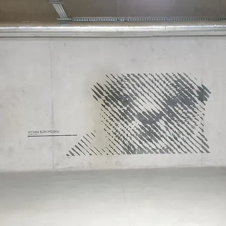 Apartment Na Wydmach Shelter Rogowo (Gryfice)