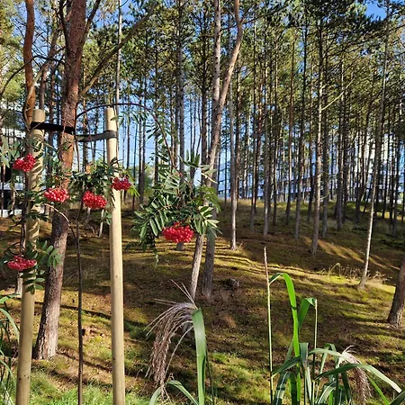 Apartment Na Wydmach Shelter Rogowo (Gryfice)