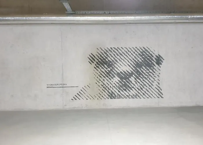 Appartamento Na Wydmach Shelter Rogowo (Gryfice)