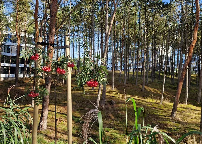 Appartamento Na Wydmach Shelter Rogowo (Gryfice)